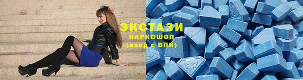 spice Богородицк