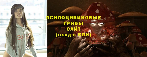 ECSTASY Богородск