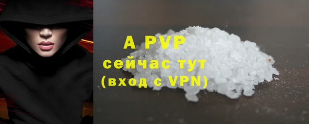 ECSTASY Богородск