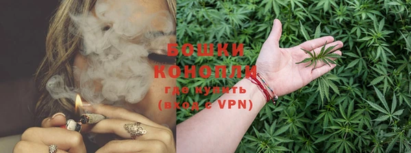 ECSTASY Богородск